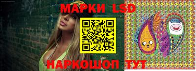 a pvp Моздок