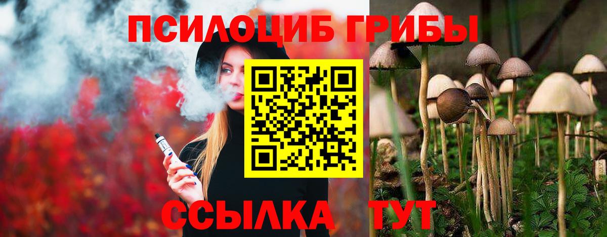 Галлюциногенные грибы мухоморы  наркота  Шадринск  Вход с VPN 